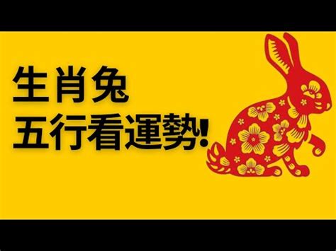 生肖屬兔 五行|【兔五行屬什麼】揭秘兔五行屬什麼？12年生肖兔五行屬性大公。